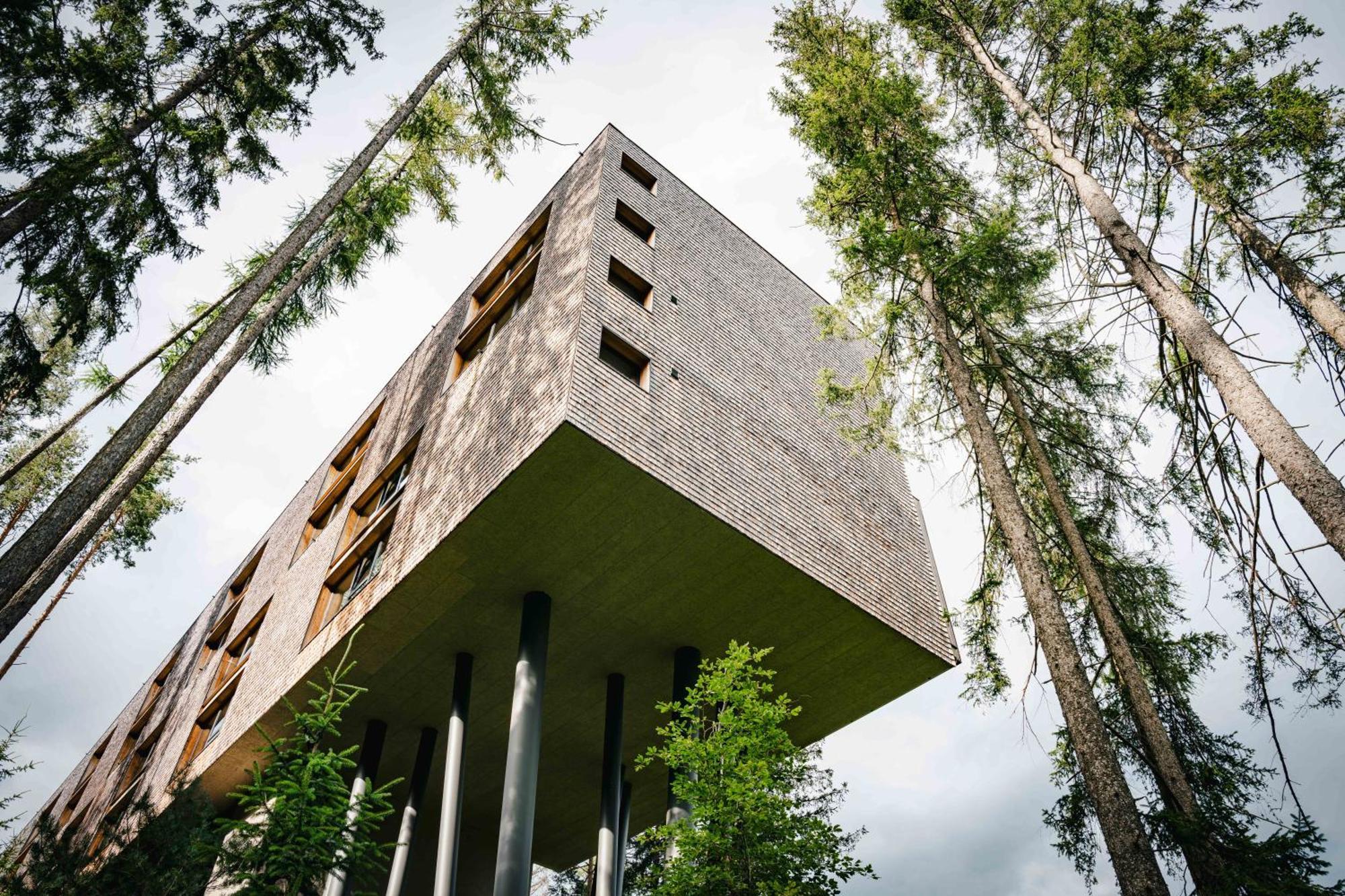 My Arbor - Dolomites Hotel